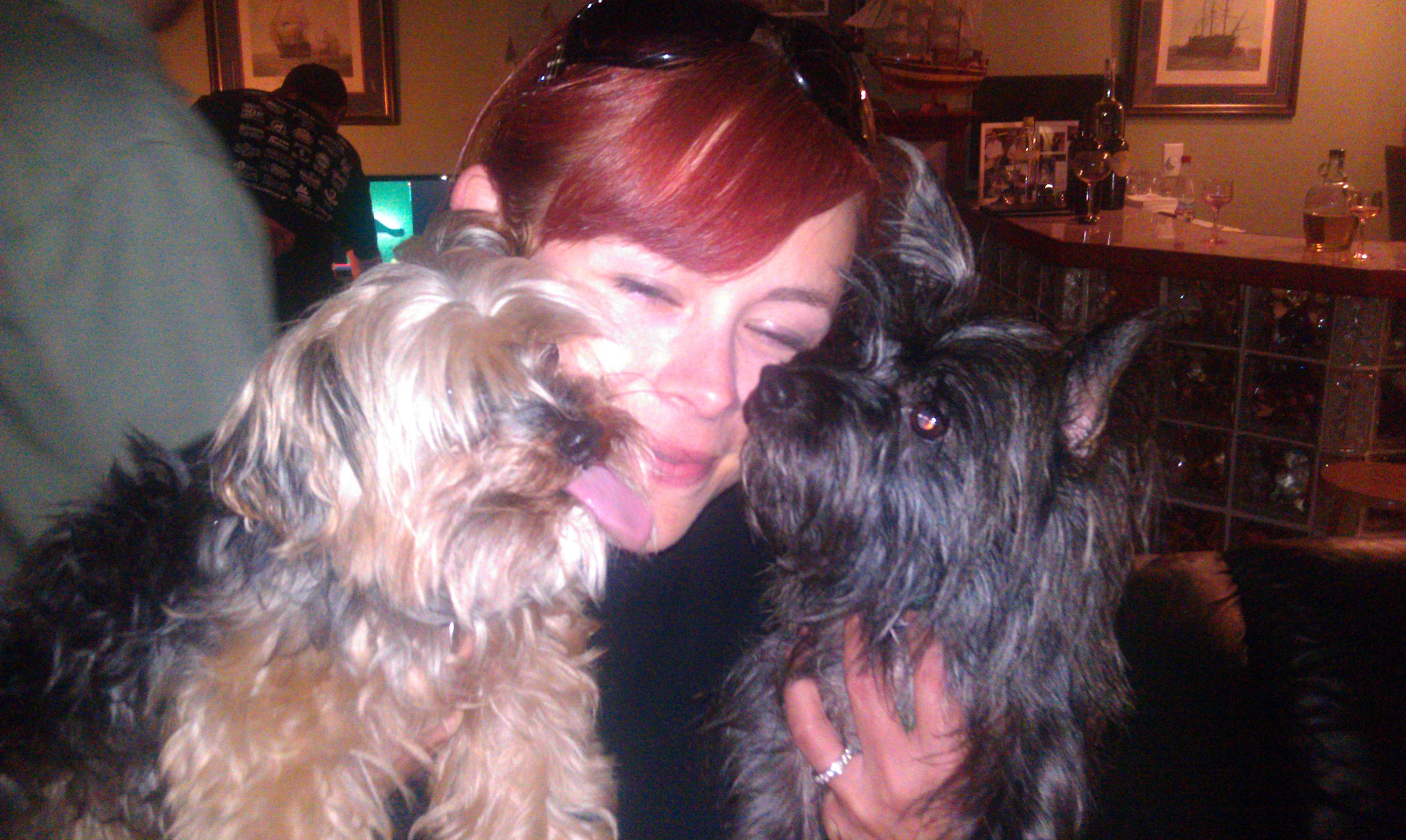 diabetic assist therapy dogs