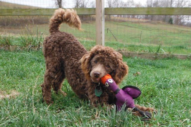 Playtime