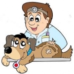Puppy_vet