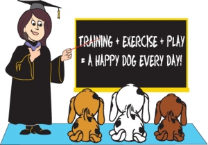 Training a new puppy