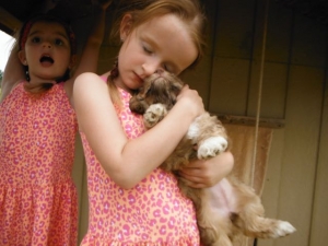Grand-daughters & Puppies