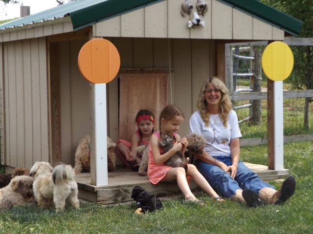 Grand-daughters & Puppies
