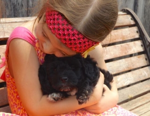 Grand-daughters & Puppies