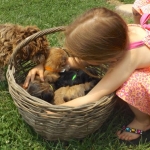 Grand-daughters & Puppies