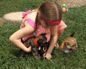 Grand-daughters & Puppies