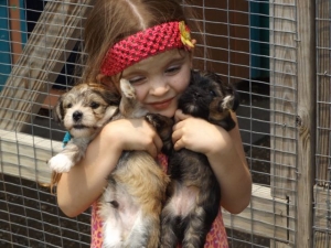 Grand-daughters & Puppies