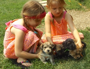 Grand-daughters & Puppies
