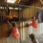 Grand-daughters & Puppies
