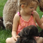 Grand-daughters & Puppies