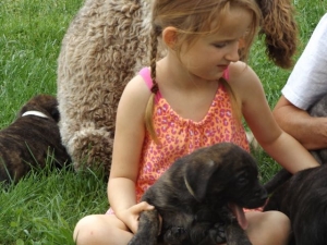 Grand-daughters & Puppies