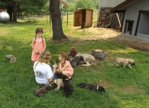 Grand-daughters & Puppies