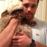 Yorkshire terrier poodle havanese puppy breeder ohio