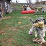 Playtime