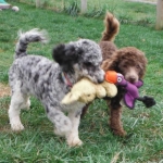 Playtime