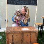 HavaPooKie (Havanese/Yorkie/Poodle)