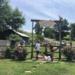 YorkiPoo puppies for sale