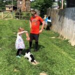 YorkiPoo puppies for sale