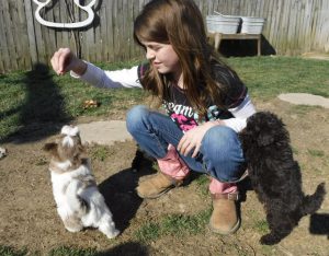 Breeding & Raising Puppies