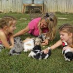 HavaPoo Puppies Playing