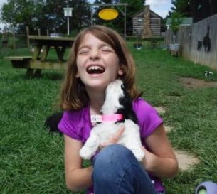 designer dogs for sale