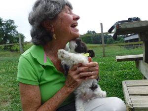 Poodle Yorkie Havanese Breeder Ohio Puppies for Sale