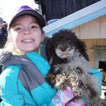 breeder of havapoo puppies for sale