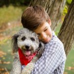 Havanese Mini Poodle mix puppy breeder