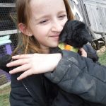 Havanese Poodle Mix HavaPoo Breeder Puppies for Sale