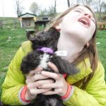Creamy Chocolate / Tan Toy Poodle YorkiPoo Puppy breeder