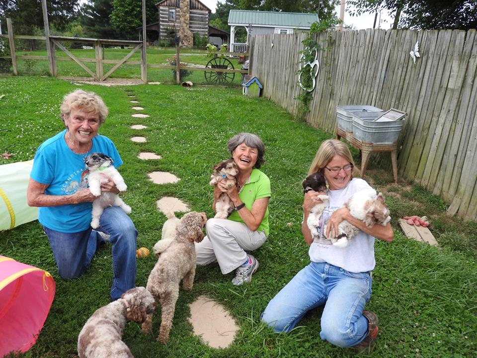playing with puppies