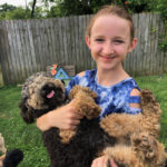 Mini Poodle TicTac