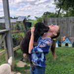 Mini Poodle TicTac