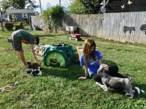 Jingle's HavaPooKie Puppies