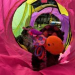 Jingle's HavaPooKie Puppies