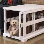 Cool Dog kennels