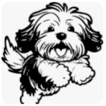 CavaPoo Puppies vs HavaPoo HavaNoodle Puppies Breeder
