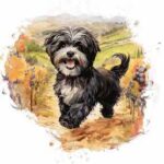 CavaPoo Puppies vs HavaPoo HavaNoodle Puppies Breeder