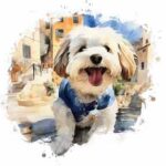 CavaPoo Puppies vs HavaPoo HavaNoodle Puppies Breeder