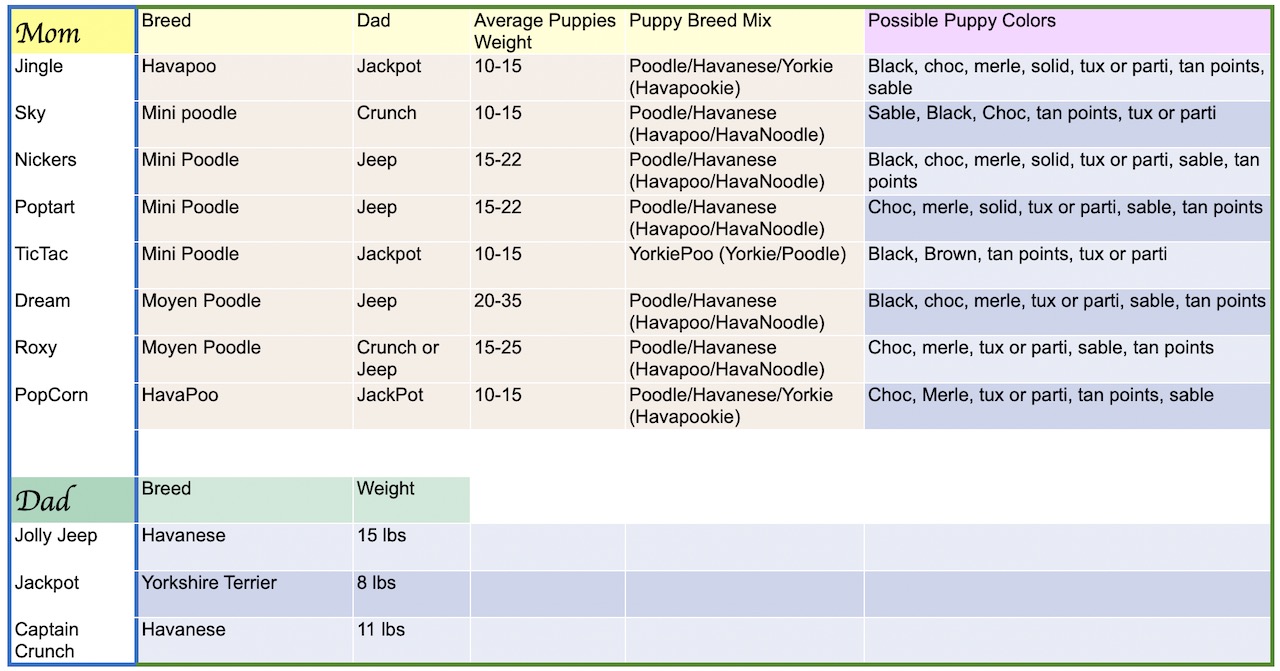 Puppy colors, breeds, & sizes as Adults 