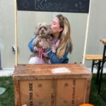 HavaPooKie (Havanese/Yorkie/Poodle)