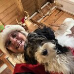 Available Black/Tan/White Female YorkiPoo Puppy