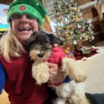 Available Black/Tan/White Female YorkiPoo Puppy