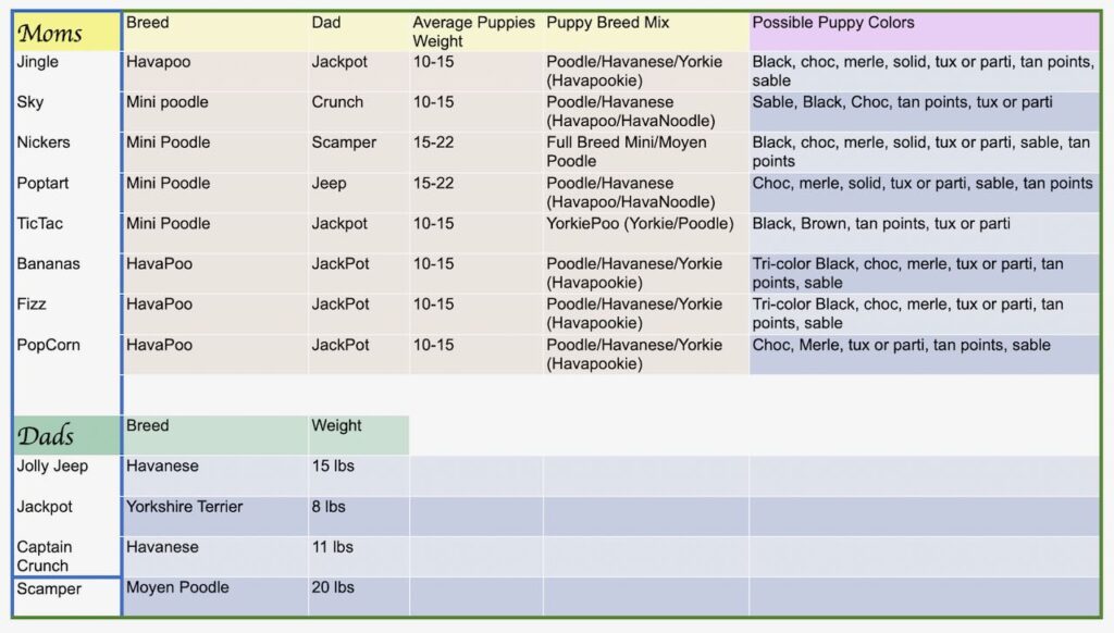 Parents / Puppy Size Chart
